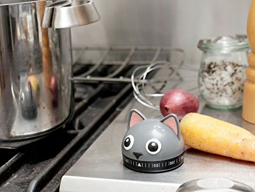 Cat Ruled Kitchen – TSetzler Designs