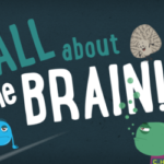 All About The Brain