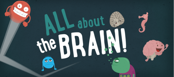 All About The Brain